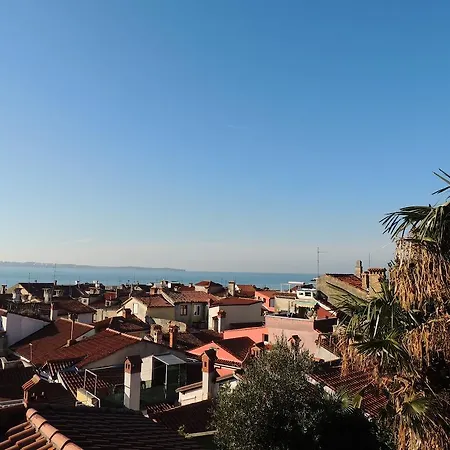 Amazing View
