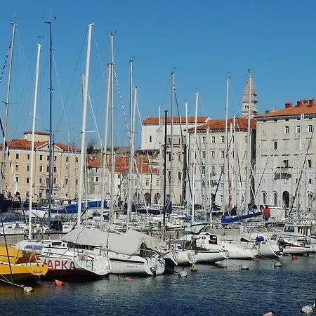 Vikendica Amazing View