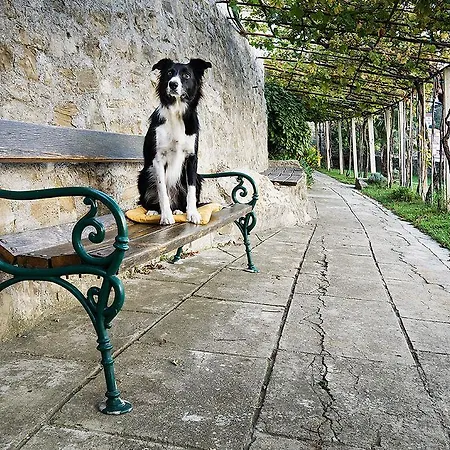 Amazing View Vikendica Piran