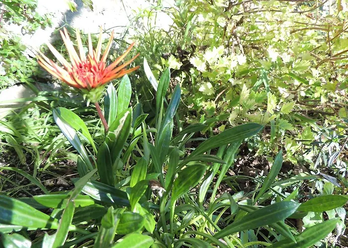 Amazing View * Piran