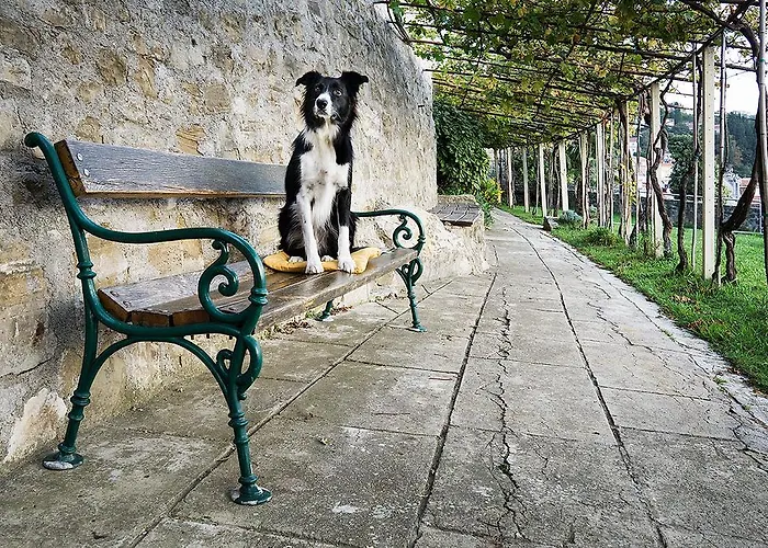 美景度假屋 度假居 皮兰